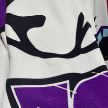 90s Indianapolis Ice Jersey