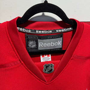 Early 2000s Detroit Red Wings Datsyuk Jersey