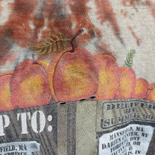 1998 Allman Brothers Band Summer Tour Shirt